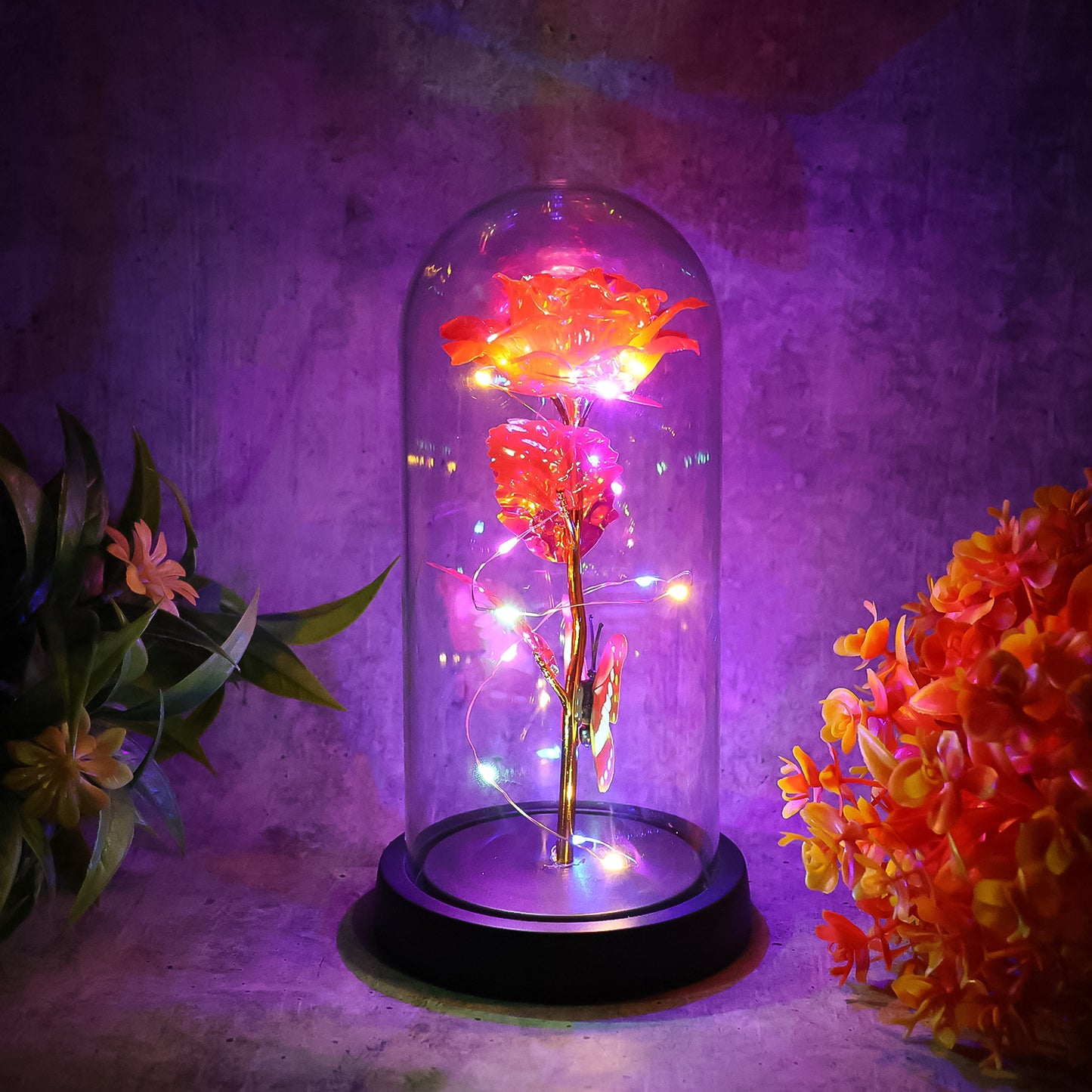 Elegant Led Eternal Rose In Plastic Dome (1 Pc  Battery Not Included) - Happy Price - Image 6