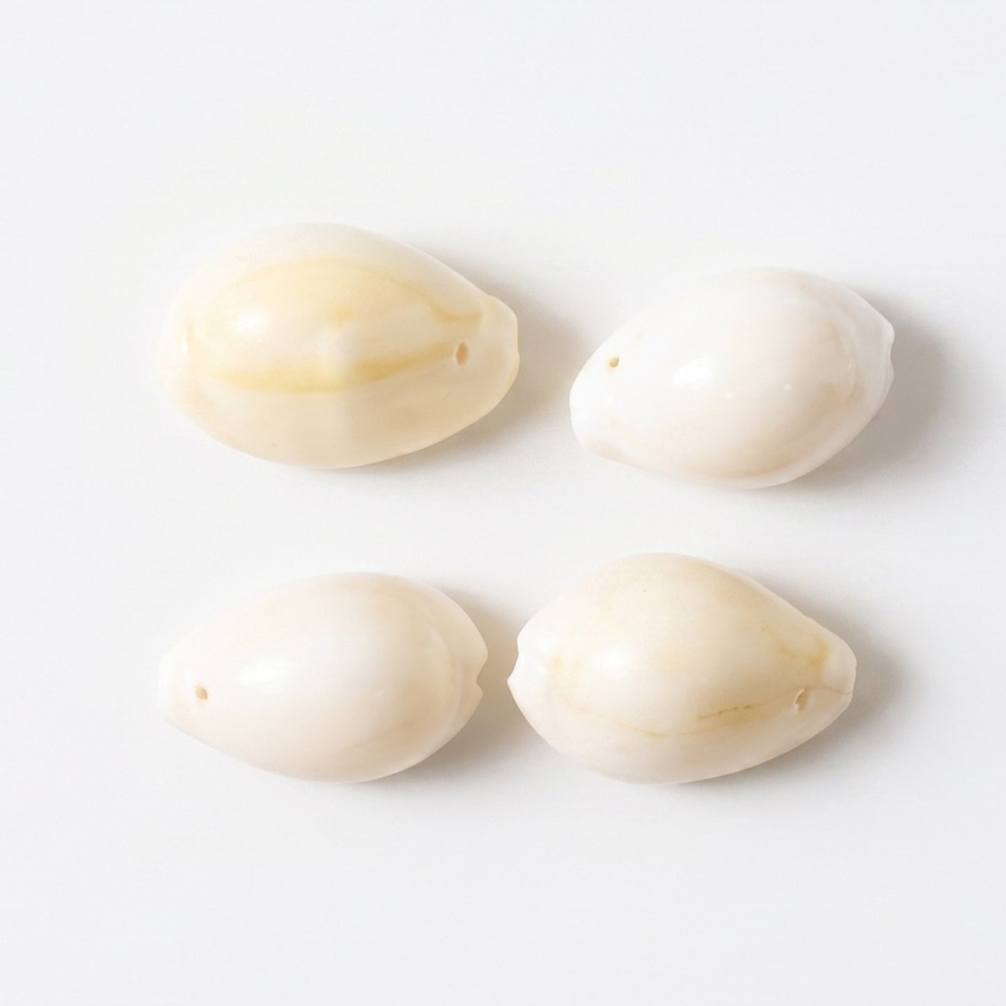 Natural Kaudi Cowrie Shells (4 Pc Mix Size)