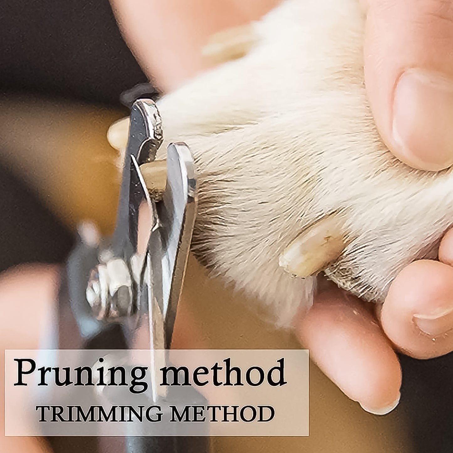 Pet Nail Clipper And Nail File Grooming Kit For Dogs And Cats (2 Pc) - Happy Price - Image 7