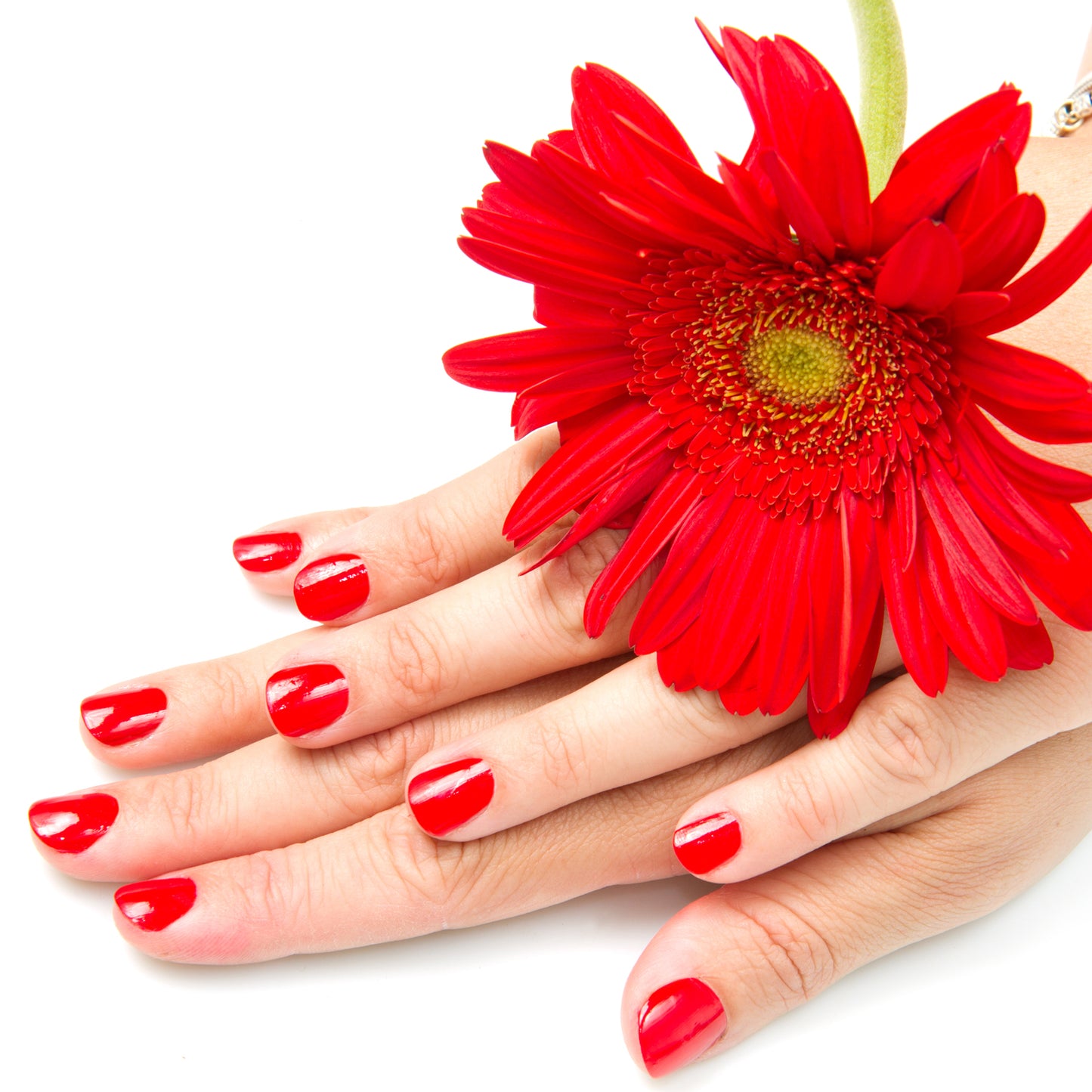 Stainless Steel Folding Nail Clippers with Integrated File (1 Pc) - Happy Price - Image 4