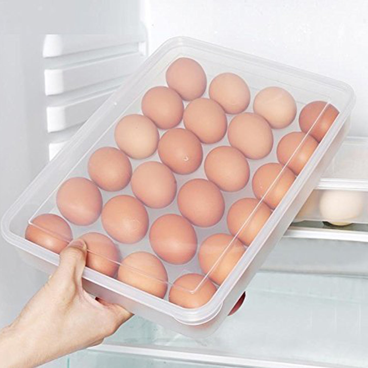 Plastic Egg Storage Container Holder For Refrigerator Egg Tray Holds 24 Eggs (1 Pc) - Happy Price - Image 4