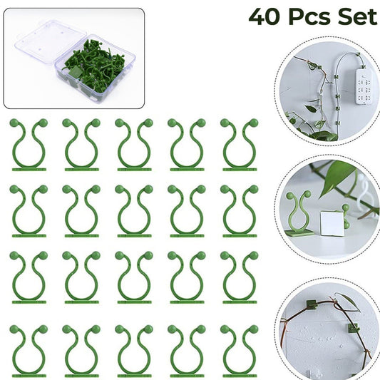 Plant Climbing Wall Fixture Clip Self-adhesive Hook (40 Pcs Set  With Plastic Box) - Happy Price - Image 1