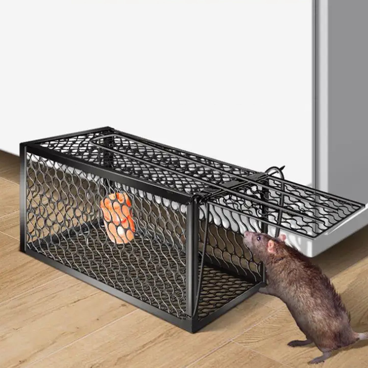 Foldable Mouse Trap Squirrel Trap Small Live Animal Trap Mouse Voles Hamsters Live Cage Rat Mouse Cage Trap For Mice Easy To Catch And Release - Happy Price - Image 2