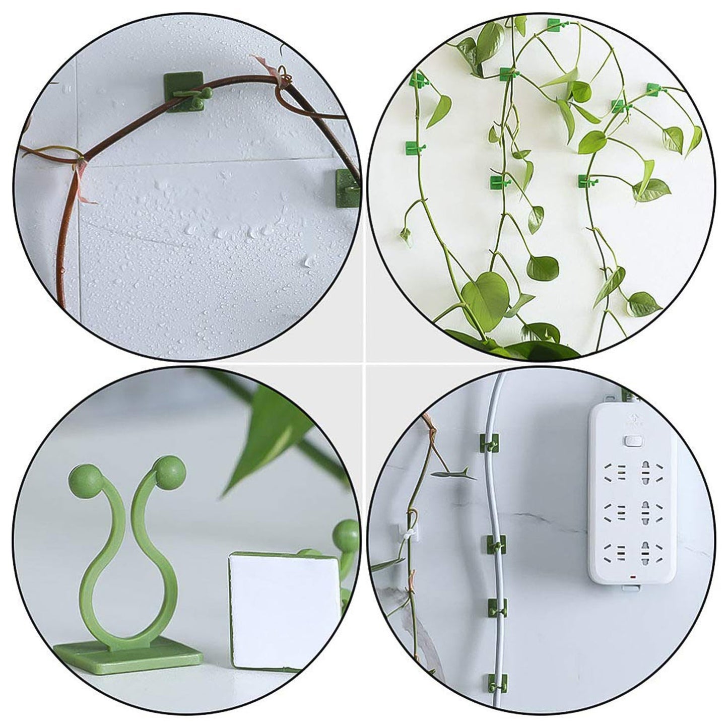 Plant Climbing Wall Fixture Clip Self-adhesive Hook (40 Pcs Set  With Plastic Box) - Happy Price - Image 4