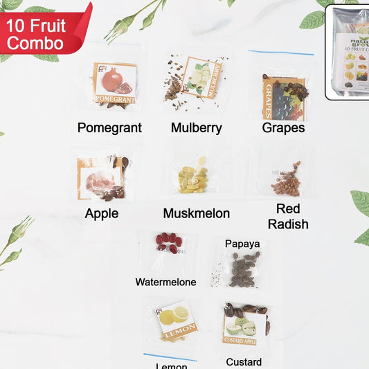 10 Fruit Seed Varieties Combo Pack for Home Gardening - Happy Price - Image 1