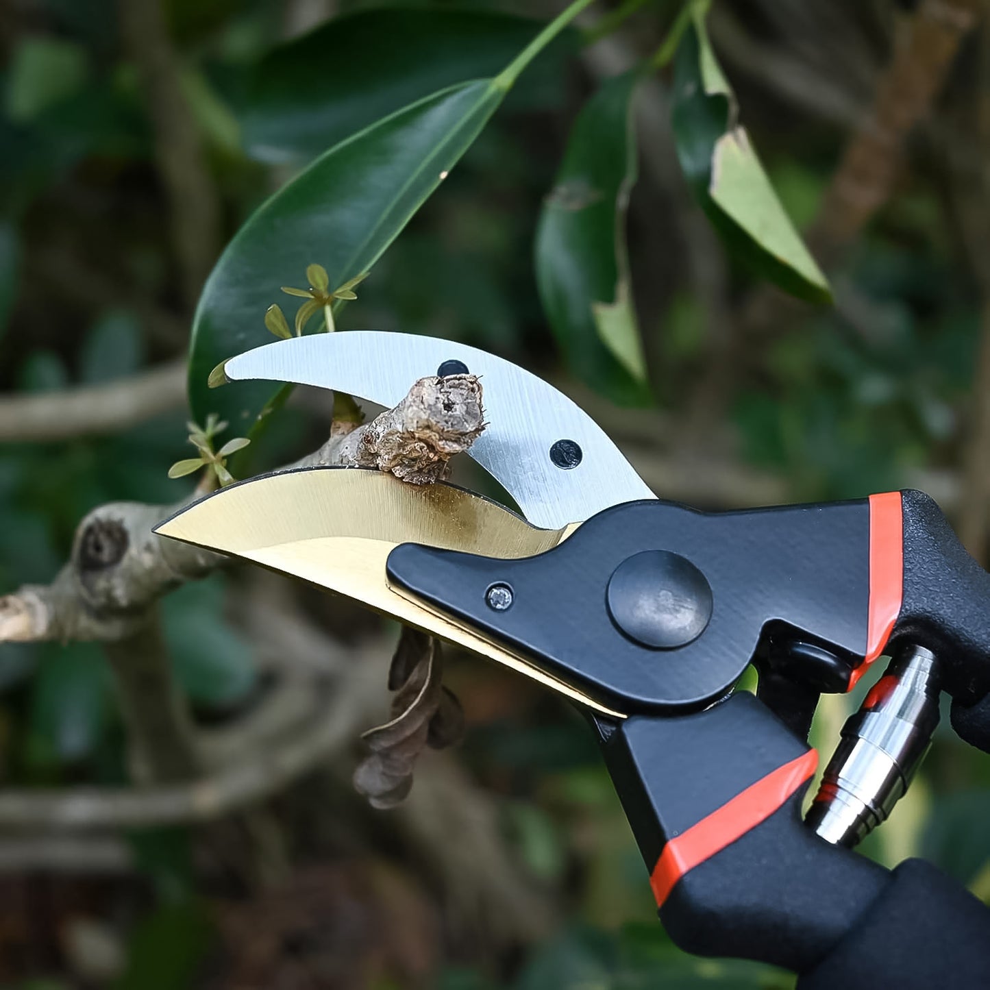 Heavy Duty Garden Pruning Shears (1 Pc) - Happy Price - Image 3