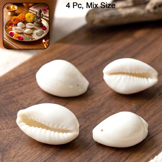 Natural Kaudi Cowrie Shells (4 Pc Mix Size)