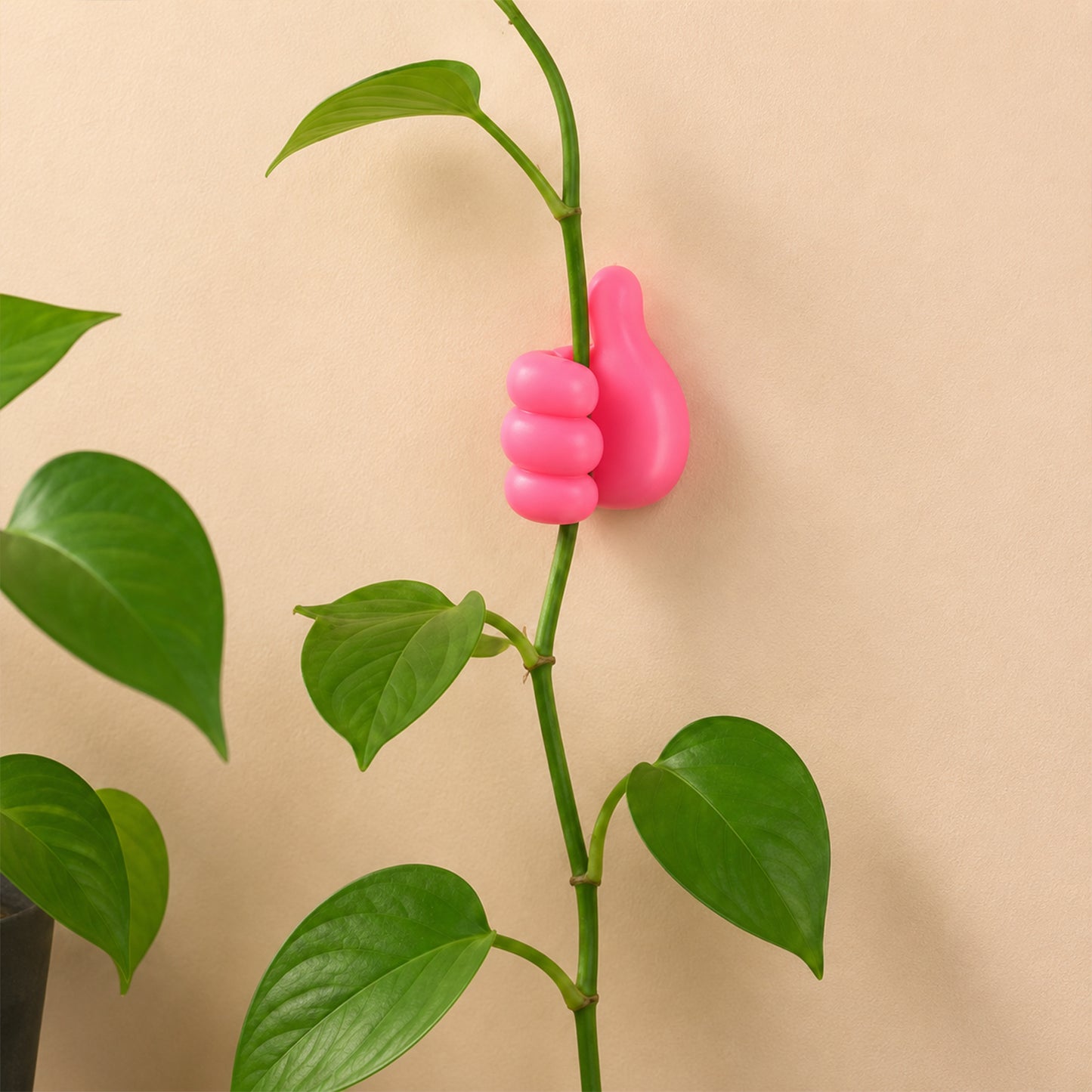 Self-Adhesive Thumb Cable Holder - 1 Pc - Happy Price - Image 6