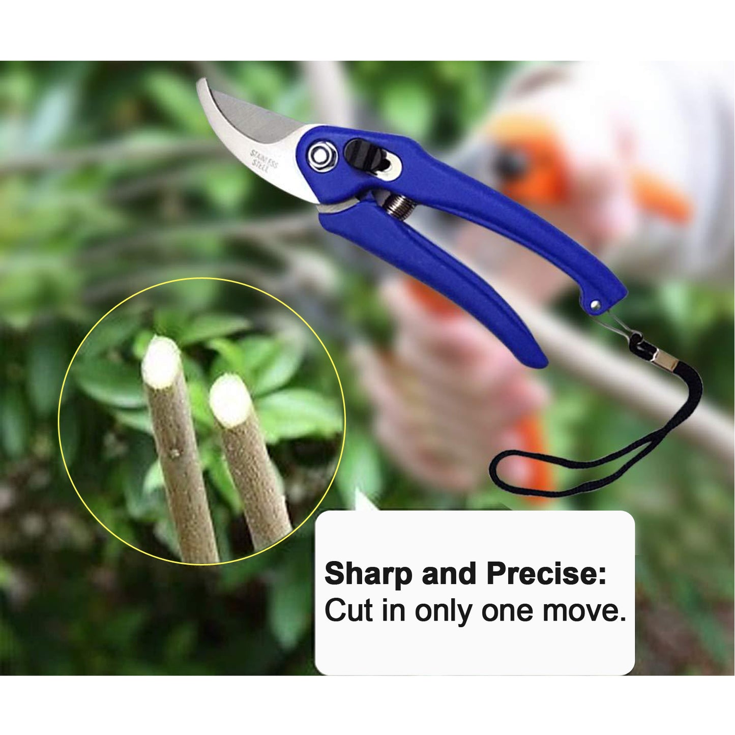 a Garden Shears Pruners Scissor For Cutting Branches Flowers Leaves Pruning Seeds - Happy Price - Image 3