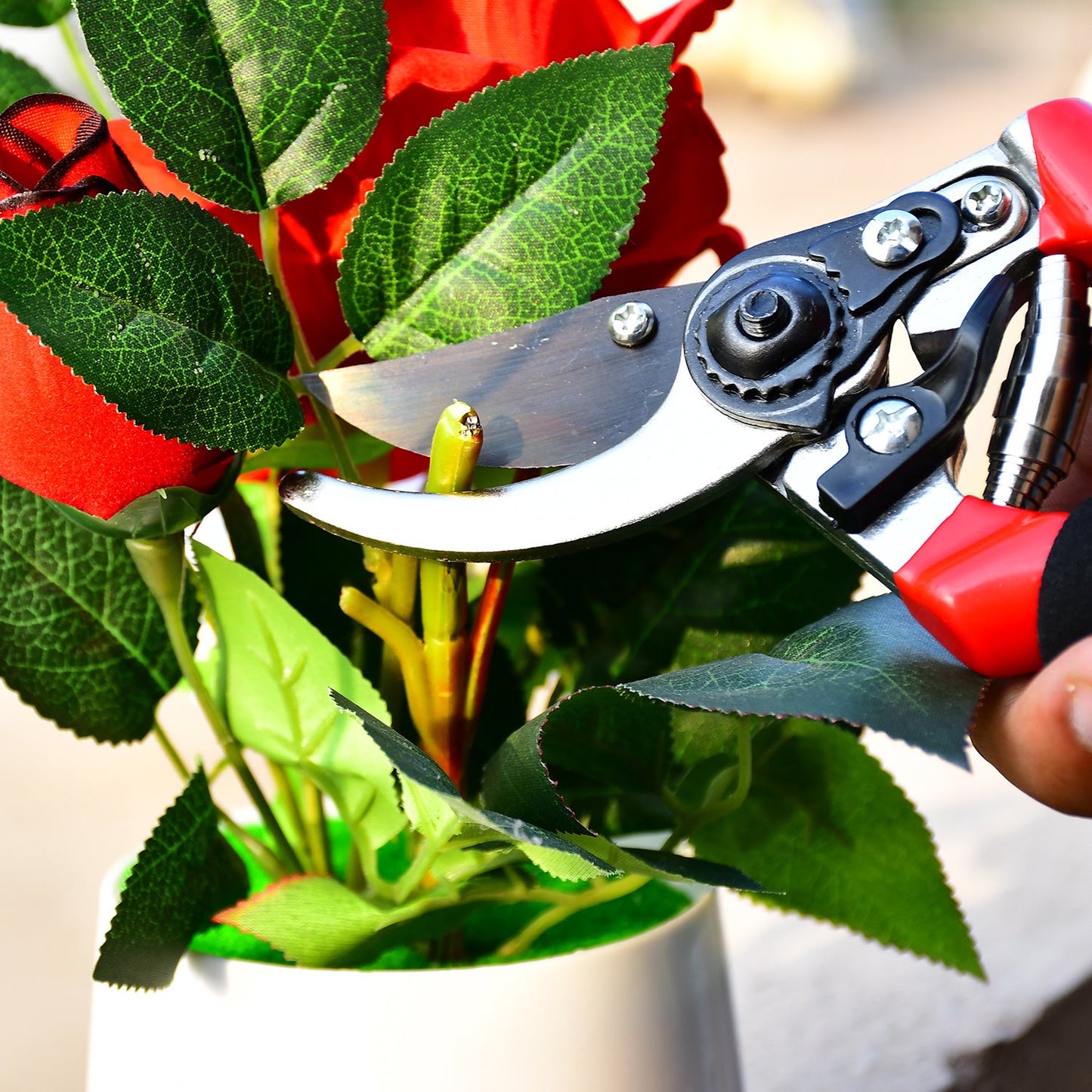 Professional Pruning & Cutting Combo