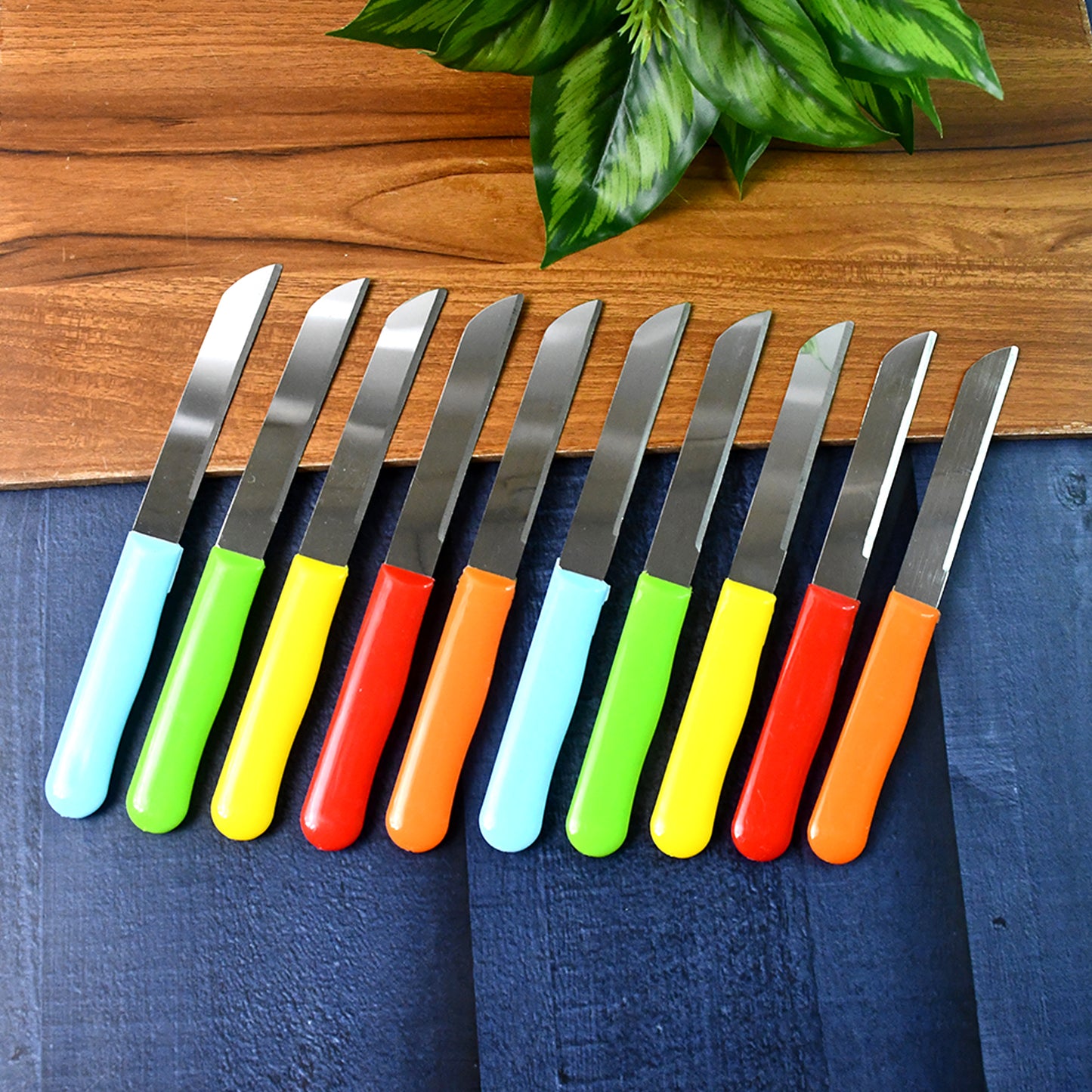 Premium Quality Stainless Steel Handle Plain Knife (10 Pc  1 Set) - Happy Price - Image 5