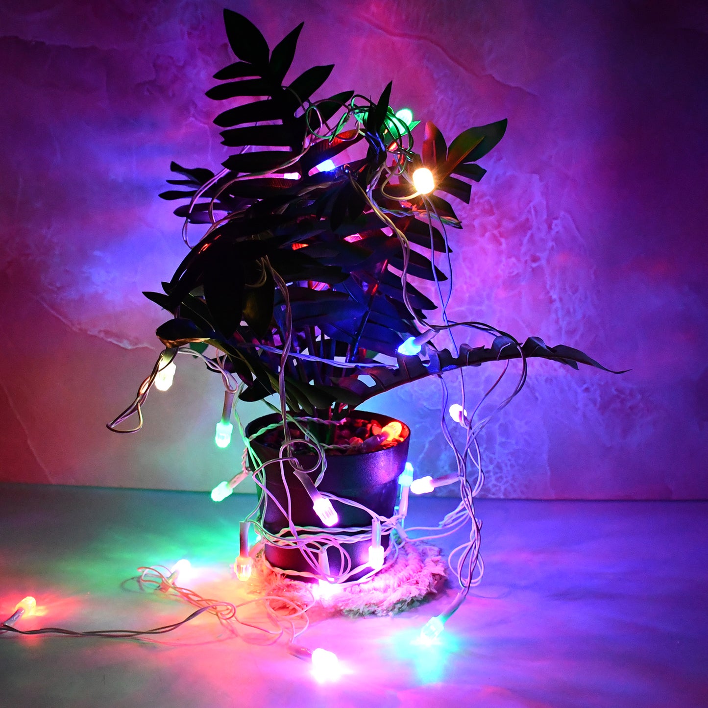 Multi-color Led Decorative String Light (8 Meter) - Happy Price - Image 5