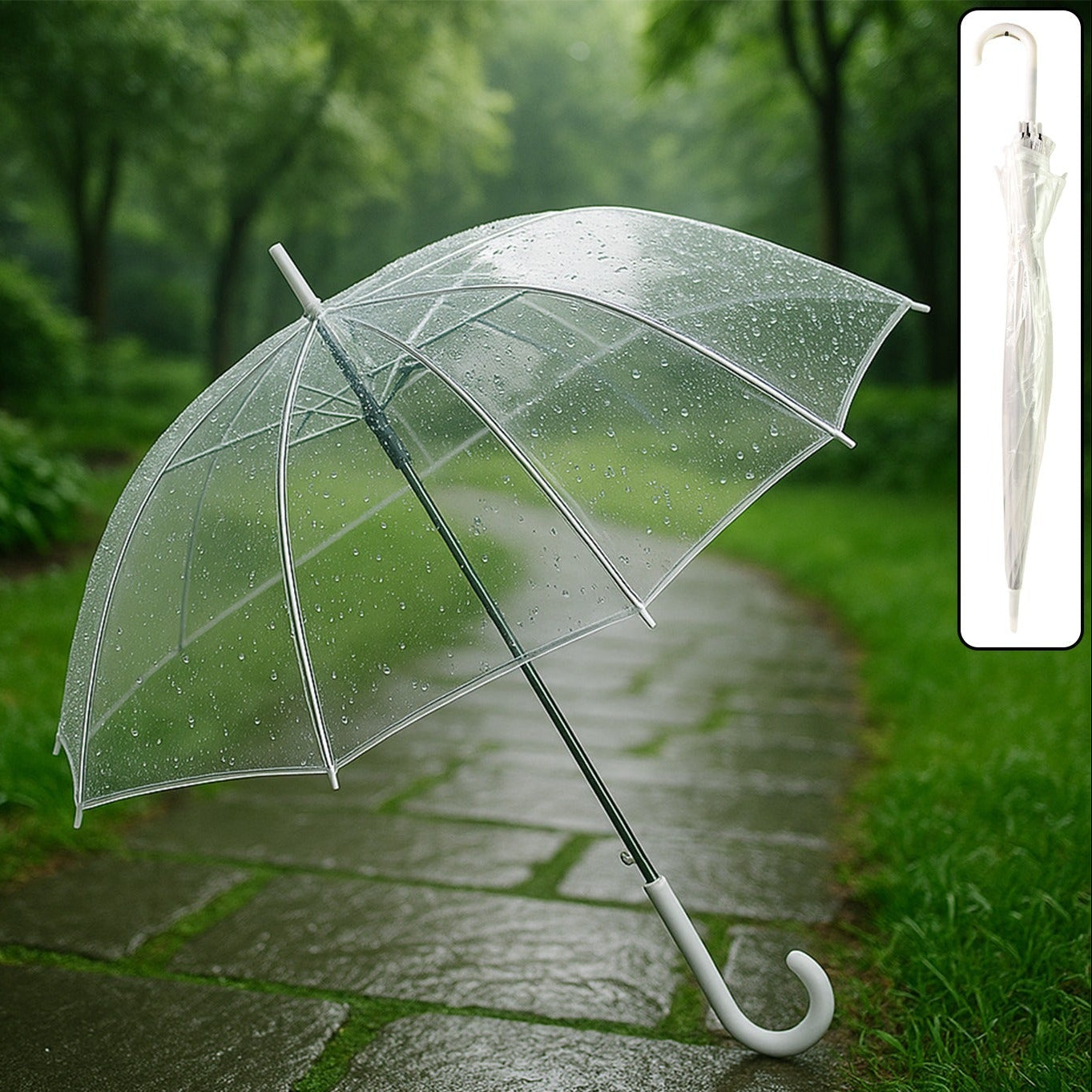 Transparent Dome Umbrella with Curved Handle (1 Pc) - Clear Canopy Stick Umbrella for Rain - Happy Price - Image 1