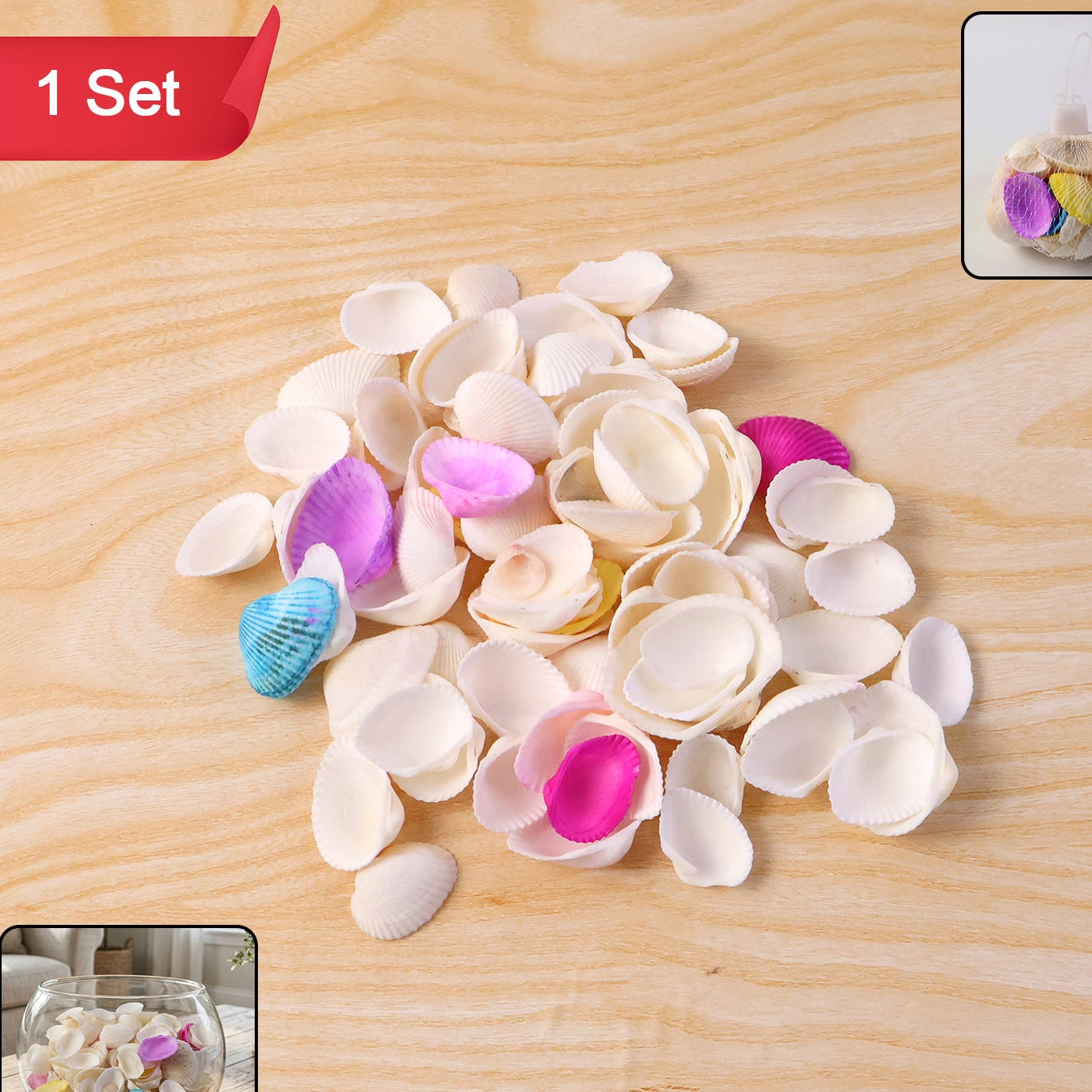 Natural Seashells Decor Set for Crafts & Home Styling (1 Set) - Happy Price - Image 1
