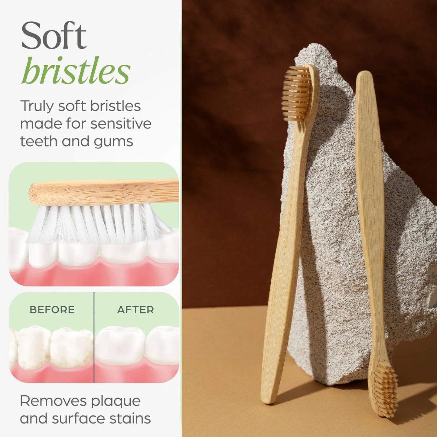 Wall Mounted Toothbrush Holder Set with 2 Bamboo Brushes - Cactus Design - Happy Price - Image 5