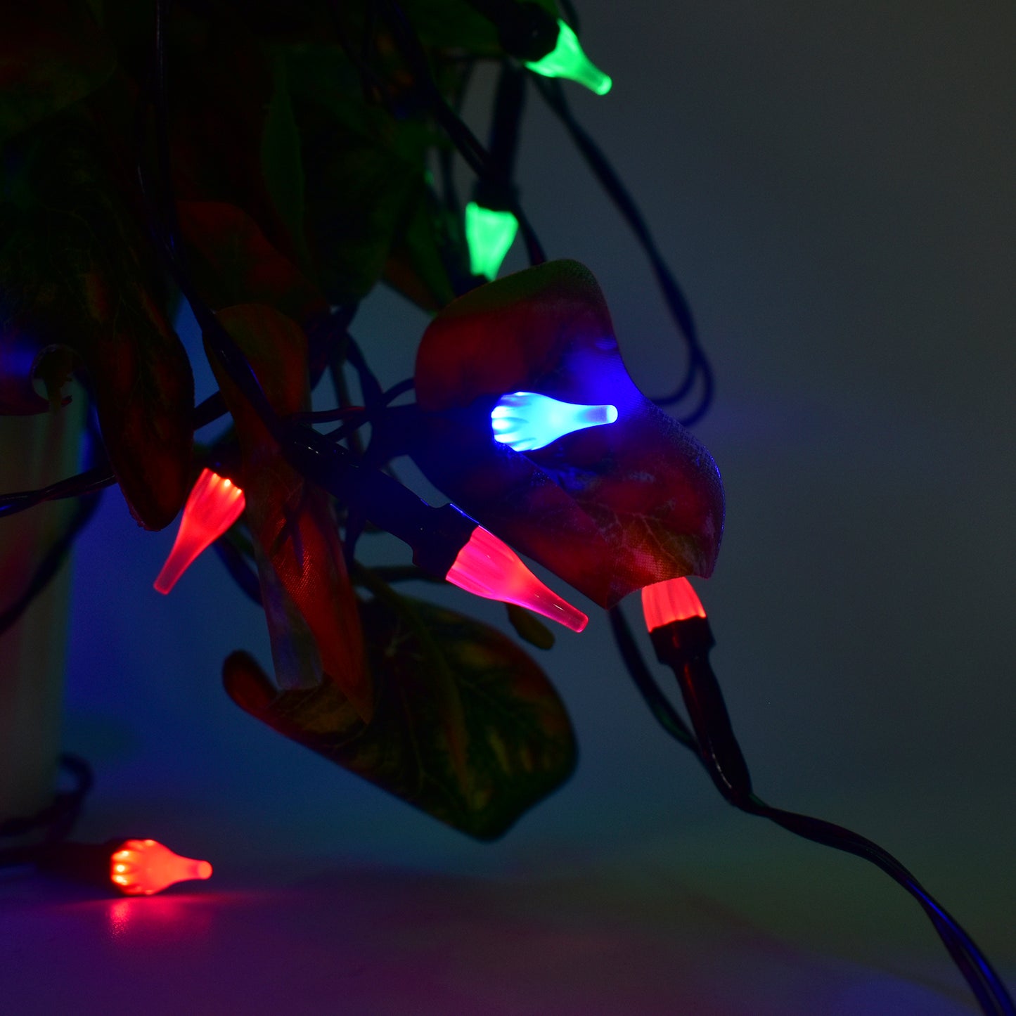 Multi-color Decorative Led String Light  (8 Meter) - Happy Price - Image 4