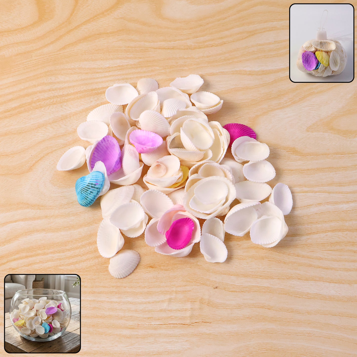 Natural Seashells Decor Set for Crafts & Home Styling (1 Set) - Happy Price - Image 7