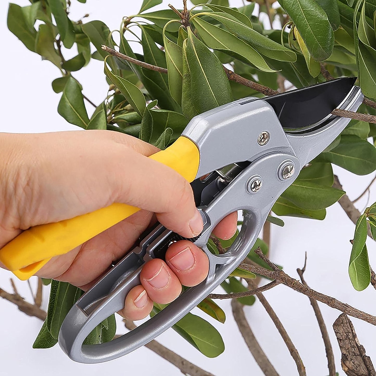 Pruning Shears Gardening Shears Enhanced Garden Shears Pruning Machine - Happy Price - Image 3