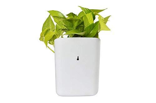 Plastic Vertical Hanging Planter Pot Multicolour - Happy Price - Image 5