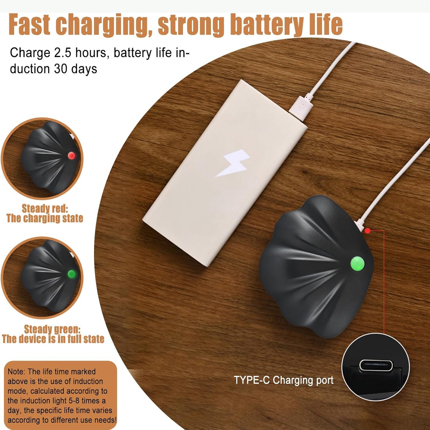 Shell Motion Sensor LED Night Light - USB Rechargeable, Wall Mount, Eye-Comfort Glow - Happy Price - Image 4