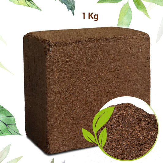 Organic Cocopeat Block for Gardening - 1 Kg - Happy Price - Image 1