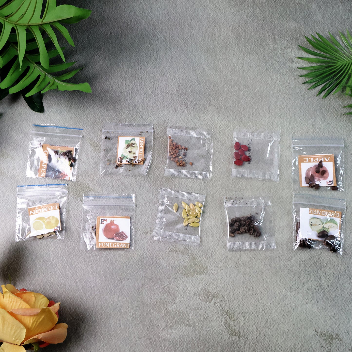 10 Fruit Seed Varieties Combo Pack for Home Gardening - Happy Price - Image 4
