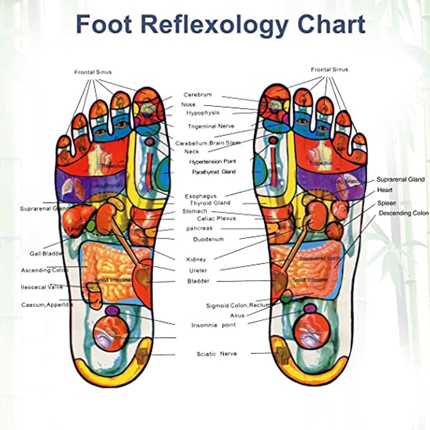 Ginger & Salt Detox Foot Pads - 10 Pcs - Happy Price - Image 6