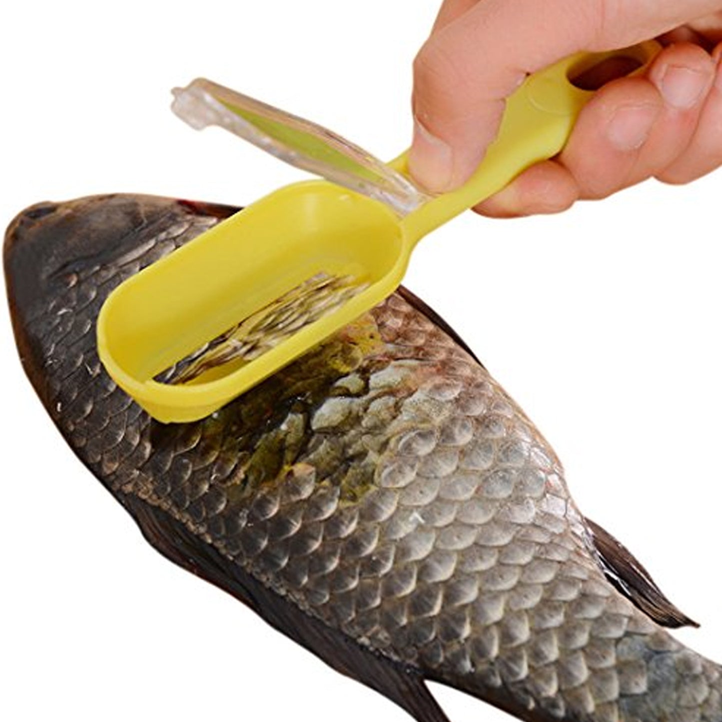 Plastic Fish Scales Graters Scraper Fish Skin Brush Fish Cleaning Tool Scraping Scales Device With Cover Home Kitchen Cooking Tools 1 Pieces - Happy Price - Image 3