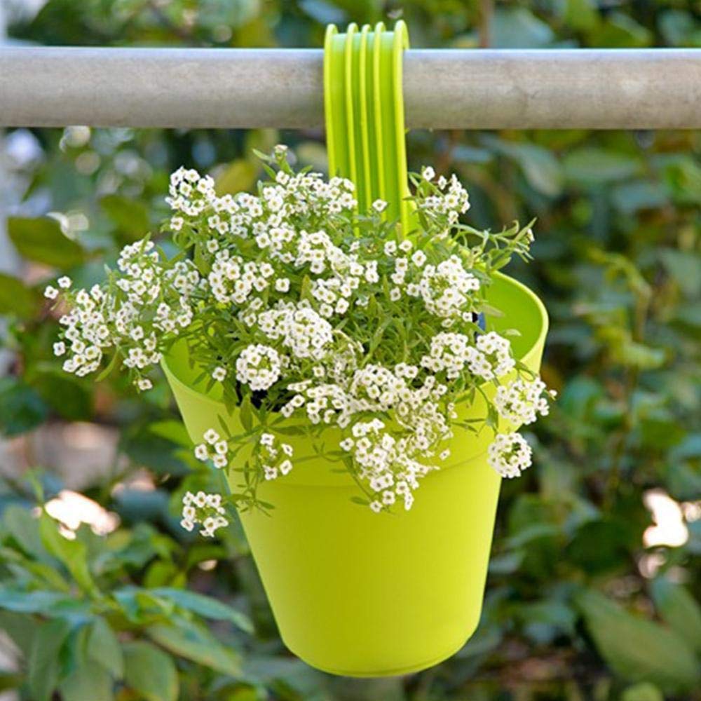3850 Plastic Hanging Planter Pot Multicolour - Happy Price - Image 2