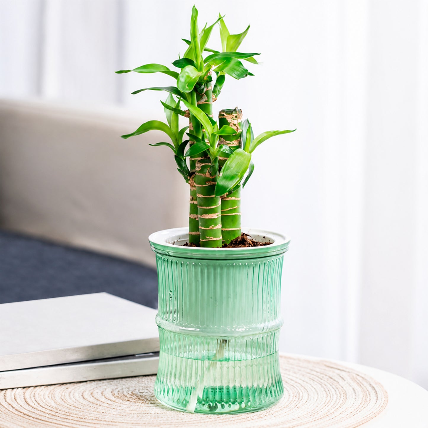 Self-Watering Plant Pot with Cotton Wick - Bamboo Style, 1 Pc - Happy Price - Image 6