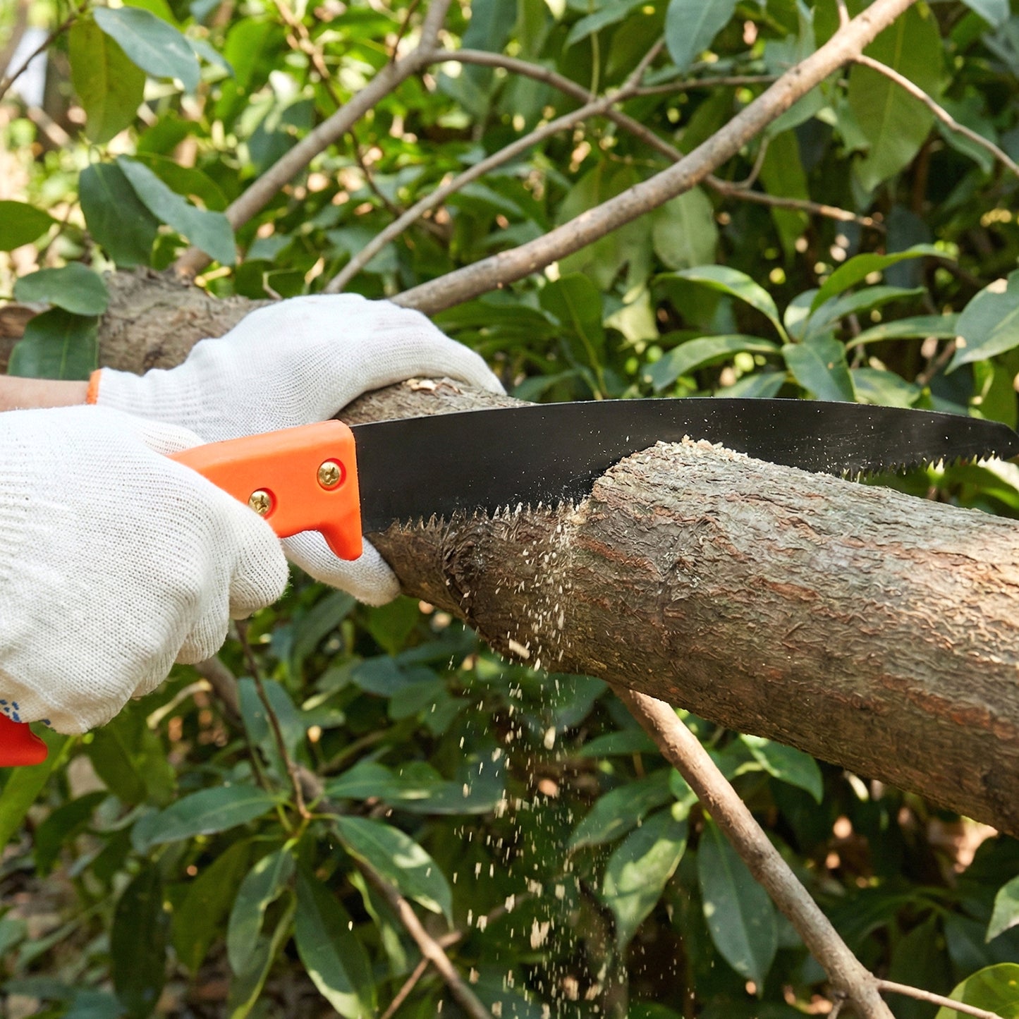 Gardening Tool Set: 2 Pc Pruning Shears & Hand Saw Combo for Garden Maintenance - Happy Price - Image 3