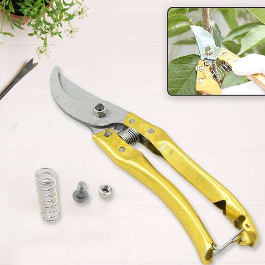 Gardening Tools - Garden Shears Pruners Scissor (1 Pc) - Happy Price - Image 1