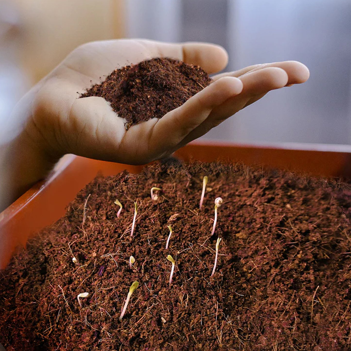 Organic Cocopeat Block for Gardening - 1 Kg - Happy Price - Image 3