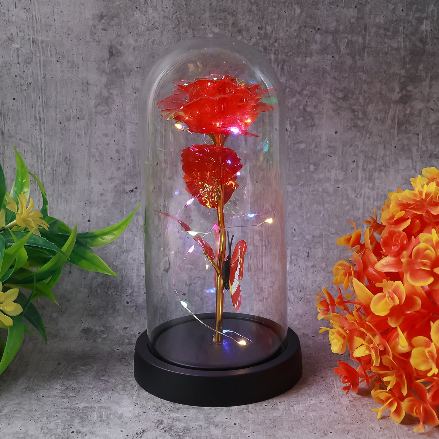 Elegant Led Eternal Rose In Plastic Dome (1 Pc  Battery Not Included) - Happy Price - Image 3