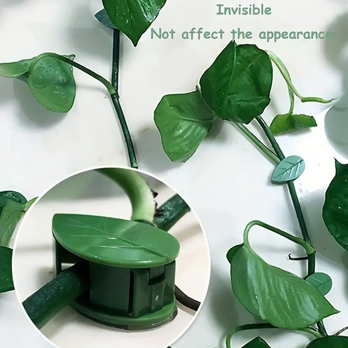 Plant Climbing Wall Fixture Clip Self-adhesive Hook Vines Traction Invisible Stand Green Leaf Plant Clip Garden Wall Clip Plant Support Binding Clip Plants For Indoor Outdoor Decoration (30 Pcs Set) - Happy Price - Image 2