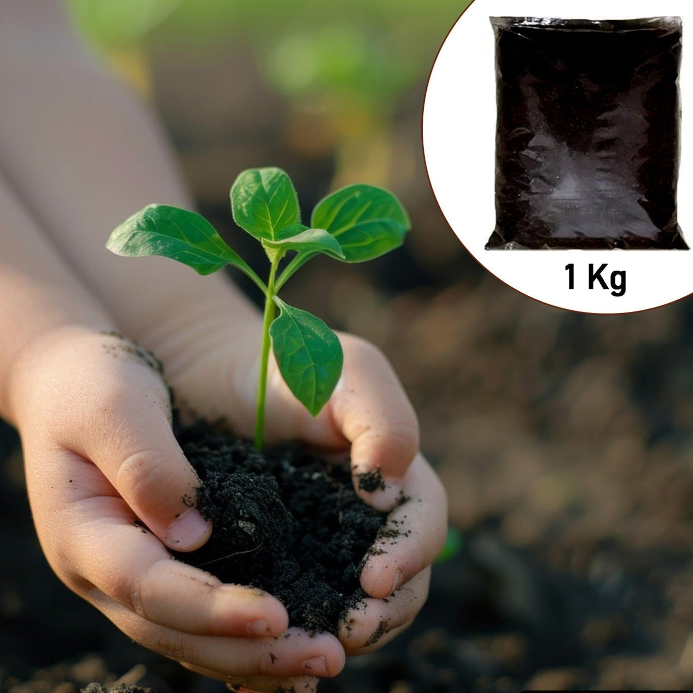 Organic Vermicompost Black Soil For Plants Health Manure (1 Kg Approx) - Happy Price - Image 1