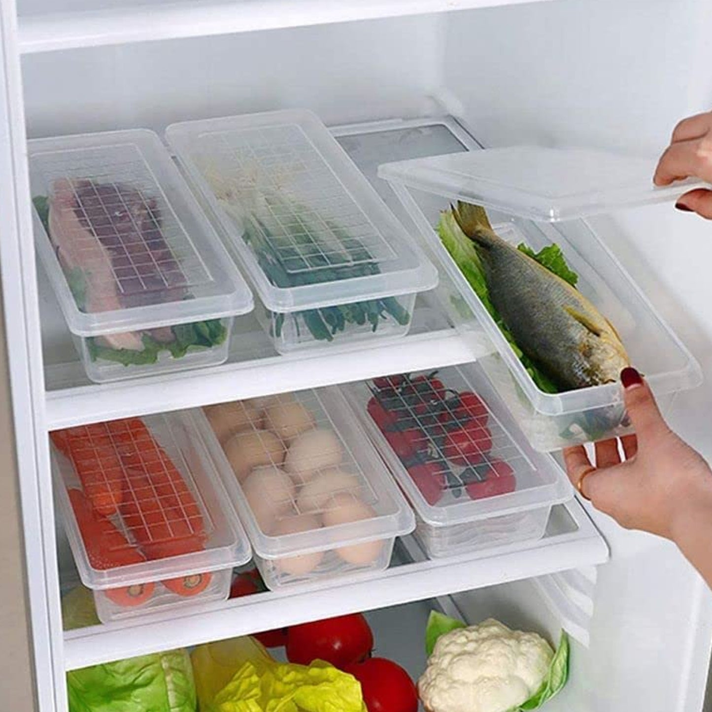 Vegetables  Fruits Freezer Storage Container (Pack Of 6pc 1500ml) - Happy Price - Image 5