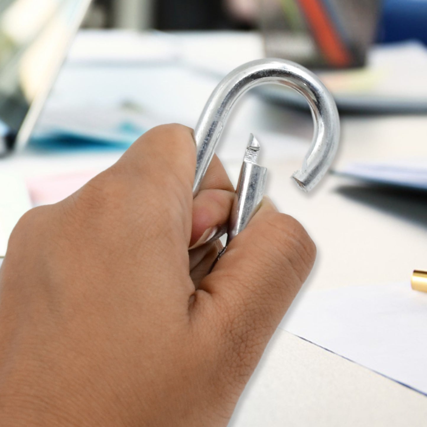 Stainless Steel Snap Hook (770 Mm  1 Pc) - Happy Price - Image 2