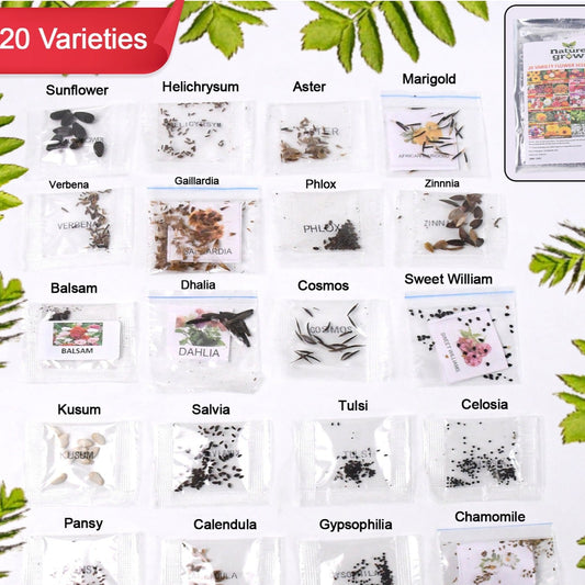 Seeds 20 Varieties Of Flower Seeds Combo (1 Pkt  20 Varieties) - Happy Price - Image 1