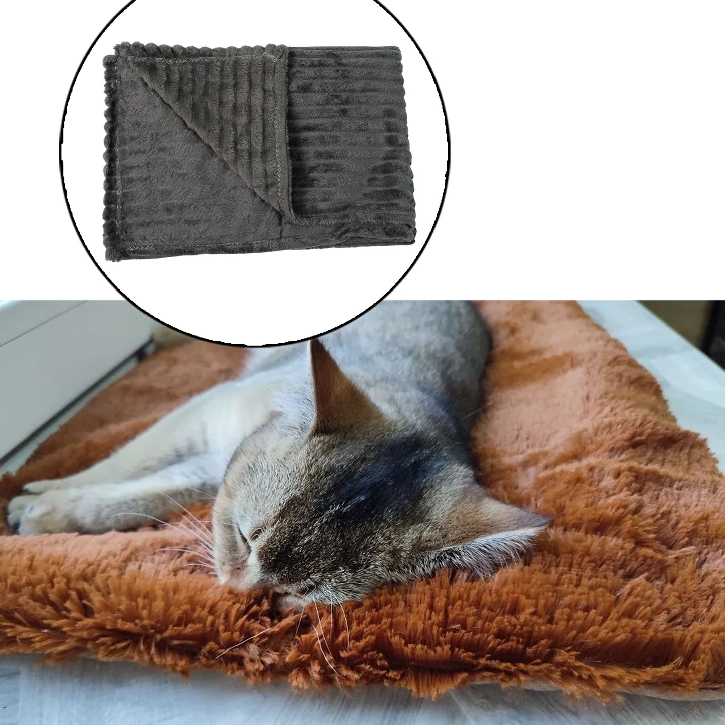 Pet Soft Cat Dog Blanket  Towel (11070 Cm  1 Pc  Mix Color  Design) - Happy Price - Image 3