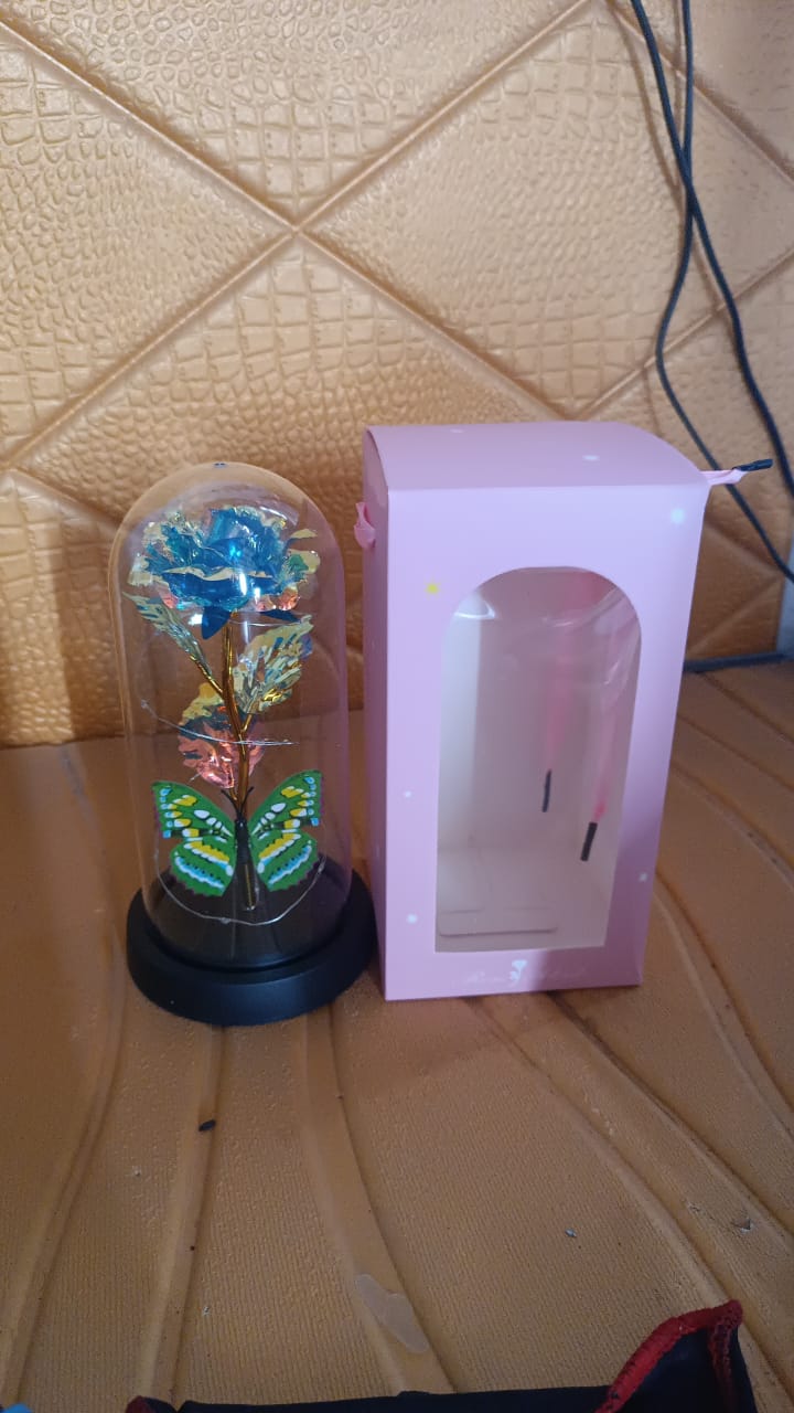 Led-powered Eternal Rose In Plastic Dome (1 Pc  Battery Not Included) - Happy Price - Image 7